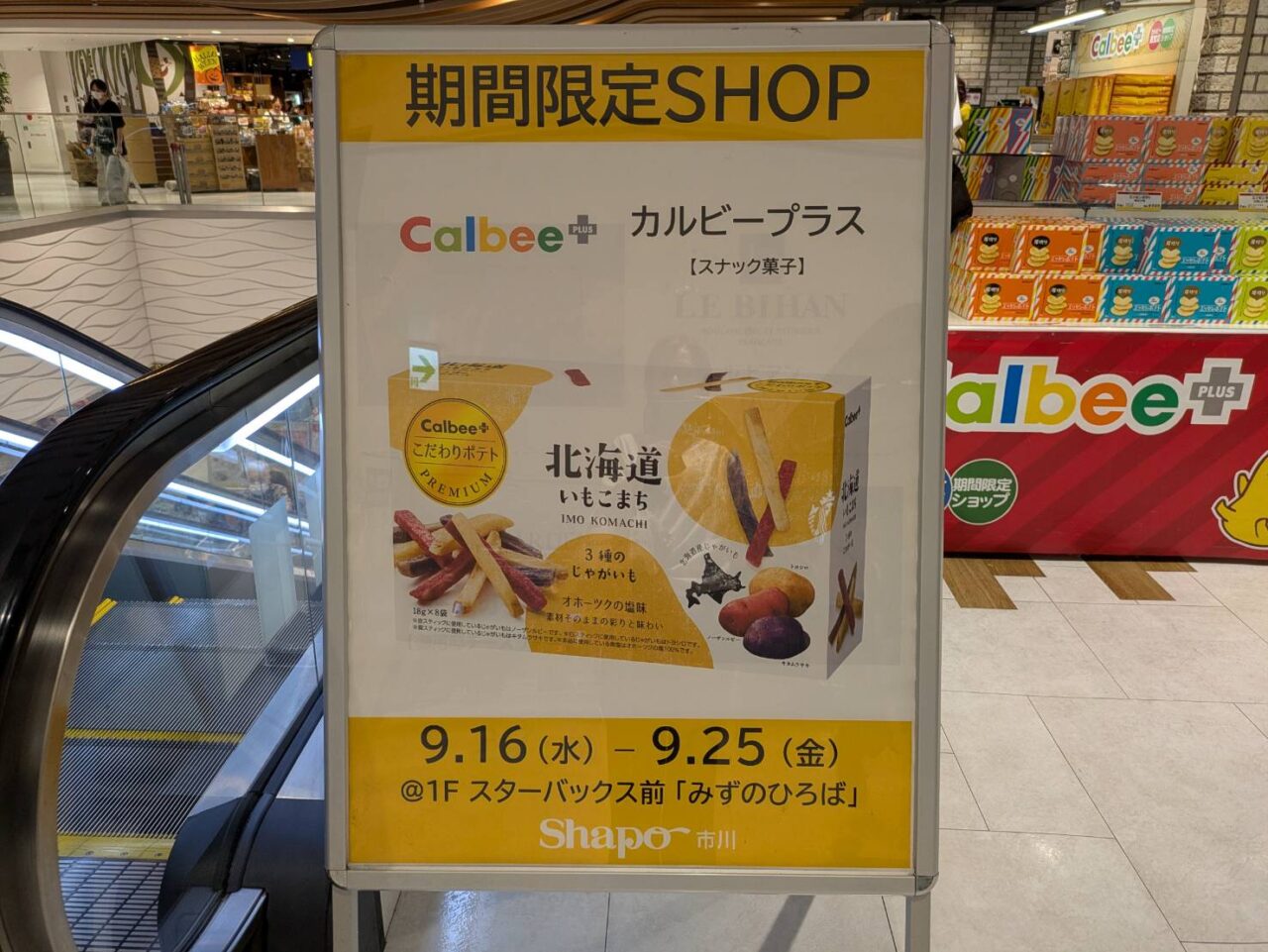 カルビープラスシャポー市川2