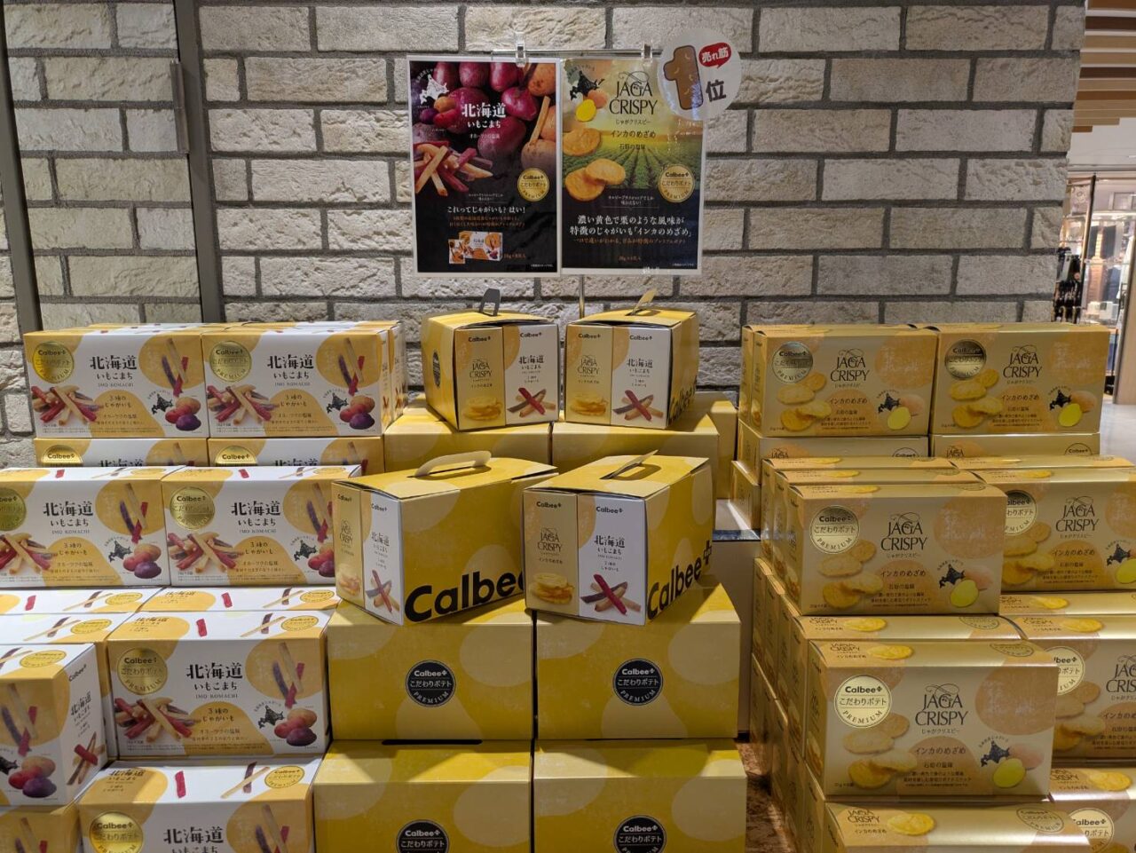 カルビープラスシャポー市川5