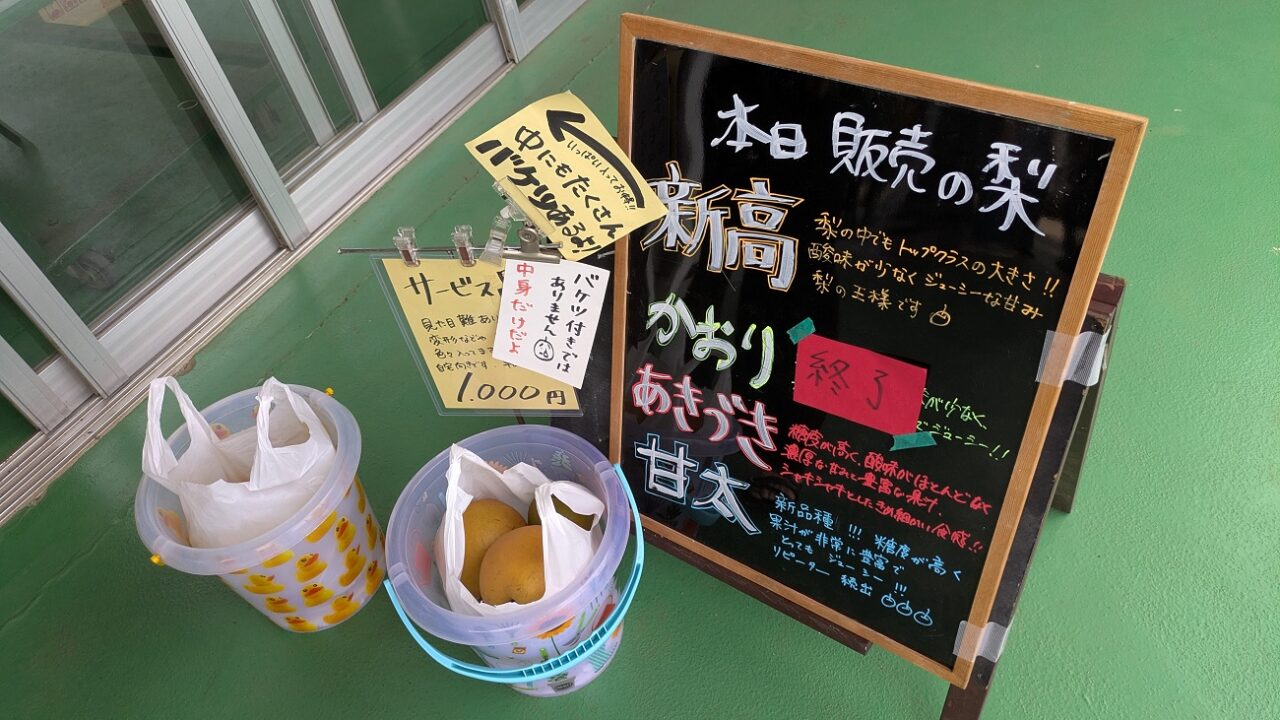 大新園のバケツ梨